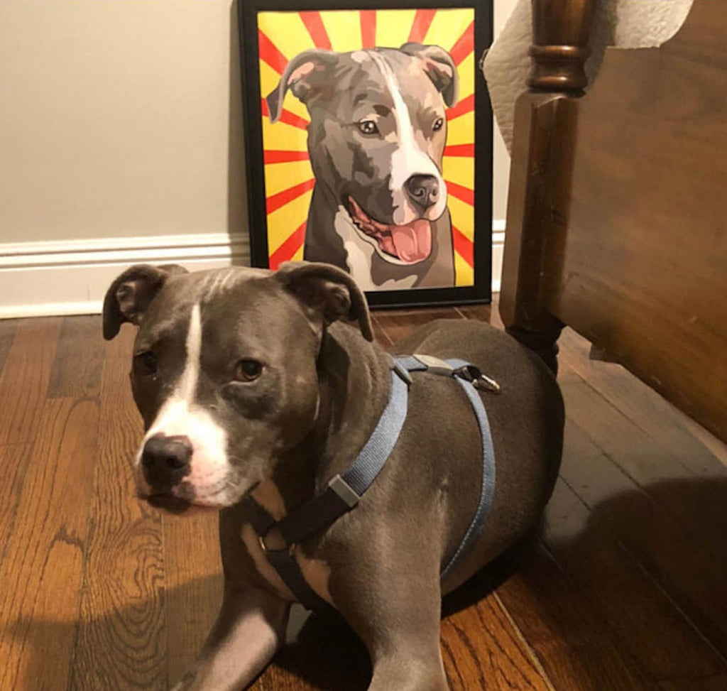 Pop Art Tierportrait
