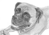 Tierportrait mit Bleistift